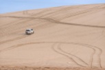 Qatar Sand Dunes